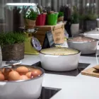 Unternehmen 44 Bild RADISSON BLU HOTEL, BASEL Hotels am Basel BL
