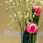 Entreprises 1 image RAMSTEIN OPTIK AG Optiker dans Basel BL