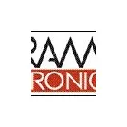 Entreprises 1 image RAMTRONIC Elektronik/Elektrotechnik dans Wald ZH