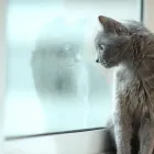 Unternehmen 3 Bild RDL GLAS Glasereien, Glasnotdienste am Suhr AG