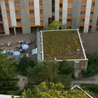 Entreprises 1 image RESTAURANT HOLI CAFÉ Hotel-/Gastronomiegewerbe dans Bern BE