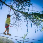 Entreprises 3 image ROBIS WALDSPIELPARK Kunst/Kultur/Unterhaltung/Musik dans Grächen VS