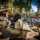 Entreprises 4 image ROBIS WALDSPIELPARK Kunst/Kultur/Unterhaltung/Musik dans Grächen VS