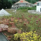 Immagine 4 azienda ROHNER BEDACHUNGEN & SPENGLEREI AG Zimmerarbeiten, Holzbauarbeiten in Dulliken SO