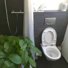 Unternehmen 8 Bild RONY WIGERT KOMPETENT IN HAUS UND GARTEN Gartenpflege, Baumpflege am Dussnang TG