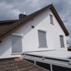Immagine 5 azienda ROY HOFER STOREN GMBH Schädlingsbekämpfungsunternehmen in Breitenbach SO