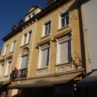 Immagine 9 azienda ROY HOFER STOREN GMBH Schädlingsbekämpfungsunternehmen in Breitenbach SO