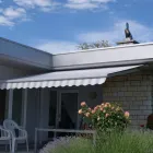 Immagine 10 azienda ROY HOFER STOREN GMBH Schädlingsbekämpfungsunternehmen in Breitenbach SO