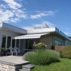 Immagine 18 azienda ROY HOFER STOREN GMBH Schädlingsbekämpfungsunternehmen in Breitenbach SO