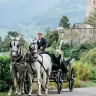Unternehmen 3 Bild RUEDI BLUMER HUFSCHMIED Tiermarkt am Buchs SG