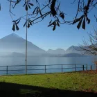 Unternehmen 3 Bild SAXER IMMOBILIEN & VERWALTUNGEN Immobilien-Makler am Thun BE