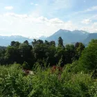 Unternehmen 5 Bild SAXER IMMOBILIEN & VERWALTUNGEN Immobilien-Makler am Thun BE