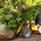Unternehmen 27 Bild SCHEUNER GARTENBAU AG Land-/Forstwirtschaft/Fischerei am Bern BE