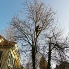 Unternehmen 3 Bild SCHEUNER GARTENBAU AG Land-/Forstwirtschaft/Fischerei am Bern BE