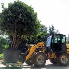 Unternehmen 4 Bild SCHEUNER GARTENBAU AG Land-/Forstwirtschaft/Fischerei am Bern BE