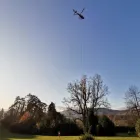Unternehmen 21 Bild SCHEUNER GARTENBAU AG Land-/Forstwirtschaft/Fischerei am Bern BE