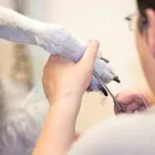 Unternehmen 1 Bild SCHÖNEGG Tiersalons am Bern BE
