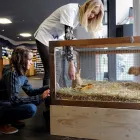 Unternehmen 13 Bild SCHWARZBUEBE-APOTHEKE Tv/Hi-Fi/Film/Foto/Medien, Bespielt am Breitenbach SO