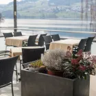 Immagine 3 azienda SEEHOTEL DELPHIN AG Werbewirtschaft/Verkaufsförderung in Meisterschwanden AG