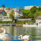 Immagine 1 azienda SEEHOTEL DELPHIN AG Werbewirtschaft/Verkaufsförderung in Meisterschwanden AG