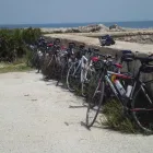 Unternehmen 8 Bild SICILIA BIKE Transport/Verkehr/Tourismus am Mellingen AG