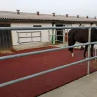 Entreprises 1 image SIGRIST PFERDEBODEN Tierpensionen dans Beringen SH