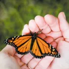 Entreprises 2 image SPITEX BERN Soziale Einrichtungen/Fürsorge dans Bern BE