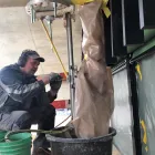 Unternehmen 2 Bild STARK BETONBOHREN UND -FRÄSEN GMBH Spezialbohrunternehmen am Pratteln BL