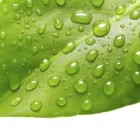 Immagine 2 azienda STC UMWELT AG Entsorgung, Verwertung, Beseitigung, Reinigung in Kölliken AG