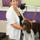 Immagine 8 azienda STEFFIE'S HUNDESALON Tiersalons in Eschlikon (Hurnen) TG
