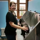 Immagine 2 azienda STEFFIE'S HUNDESALON Tiersalons in Eschlikon (Hurnen) TG