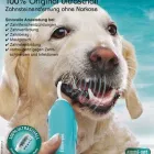 Immagine 4 azienda STEFFIE'S HUNDESALON Tiersalons in Eschlikon (Hurnen) TG