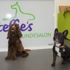 Immagine 6 azienda STEFFIE'S HUNDESALON Tiersalons in Eschlikon (Hurnen) TG