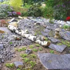 Entreprises 1 image STROTZ GARTENBAU AG Land-/Forstwirtschaft/Fischerei dans Zürich ZH