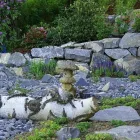Entreprises 4 image STROTZ GARTENBAU AG Land-/Forstwirtschaft/Fischerei dans Zürich ZH