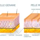 Immagine 4 azienda STUDIO DI MEDICINA ESTETICA DR. MED. MONIQUE WORTELBOER Ärzte in Lugano TI