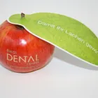 Unternehmen 6 Bild SWISS DENTAL CENTER Ärzte am Zurich ZH