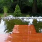 Immagine 1 azienda SWISS GARDEN DESIGN GMBH Land-/Forstwirtschaft/Fischerei in Spiez BE