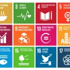 Unternehmen 36 Bild SYNTEZIA Werbewirtschaft/Verkaufsförderung am Genève GE
