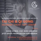 Unternehmen 2 Bild TAI CHI UND QI GONG - HEAVEN MAN EARTH Ärzte am Brig VS