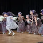 Unternehmen 12 Bild TANZZENTRUM MOBILE Tanzschulen am Bern BE