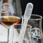 Immagine 1 azienda TASTE OF WHISKY Veranstalter in Reussbühl LU