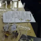 Immagine 3 azienda TASTE OF WHISKY Veranstalter in Reussbühl LU