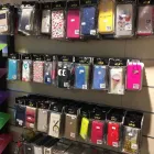 Entreprises 12 image THE STORE Zoohandlungen dans Lugano TI