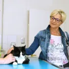 Entreprises 10 image TIERARZTPRAXIS LINDENACKER GMBH Ärzte dans Eschlikon Tg TG