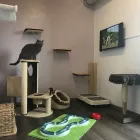 Entreprises 20 image TIERHOTEL 5 STERN Tierpensionen dans Niedergösgen SO