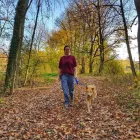 Entreprises 7 image TIERHOTEL 5 STERN Tierpensionen dans Niedergösgen SO