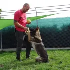 Entreprises 9 image TIERHOTEL 5 STERN Tierpensionen dans Niedergösgen SO