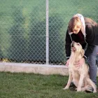 Entreprises 12 image TIERHOTEL 5 STERN Tierpensionen dans Niedergösgen SO