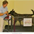 Immagine 10 azienda TIERKLINIK RHENUS AG Ärzte in Flurlingen ZH